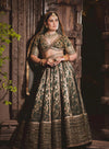 Dark Embroidered Lehenga Set